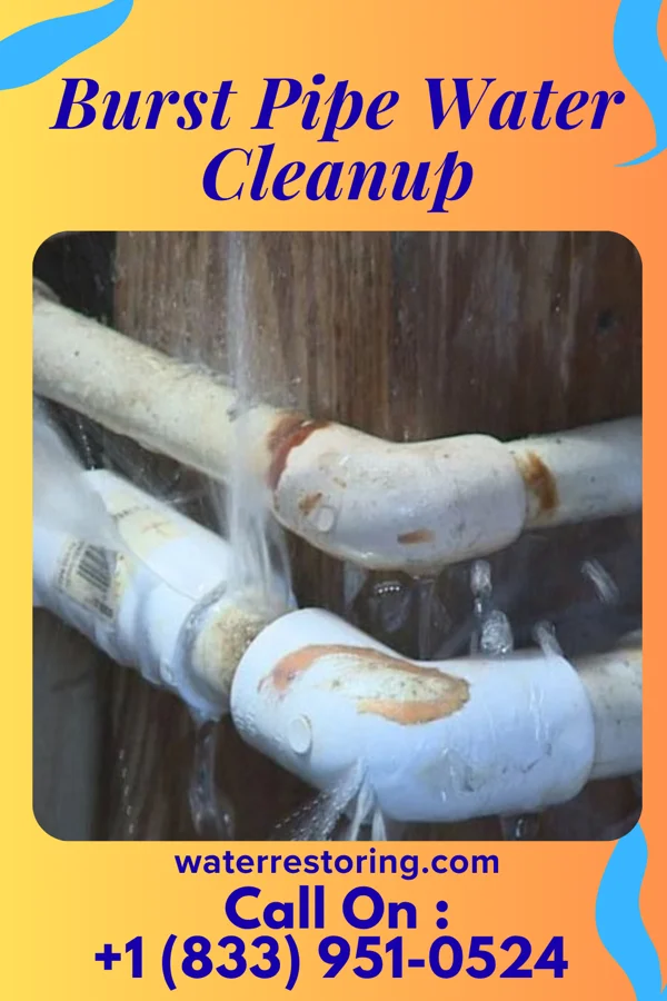 Burst Pipe Water Cleanup in Hustisford, WI