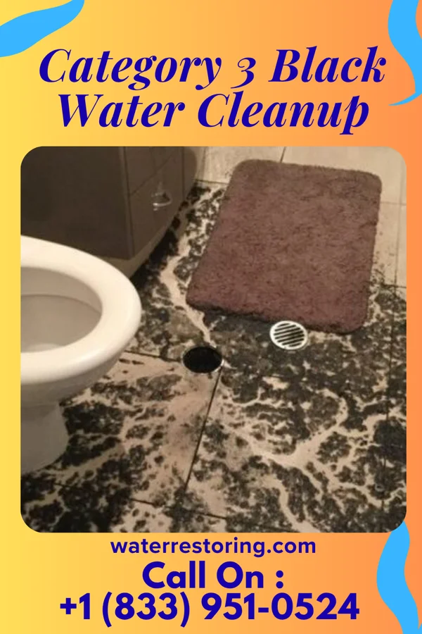Category 3 Black Water Cleanup in Hustisford, WI